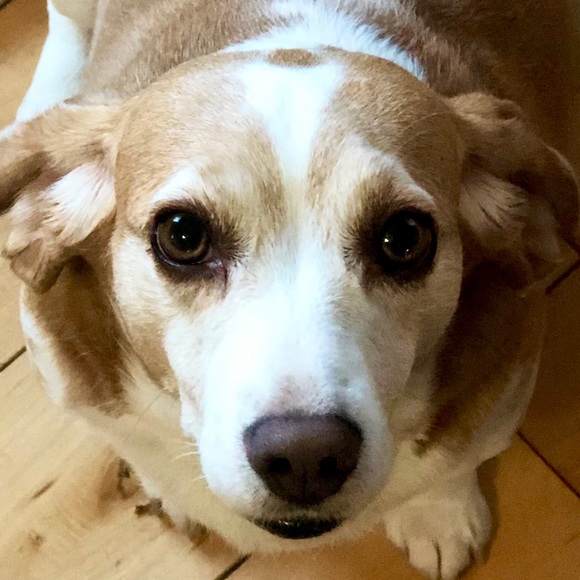 Meet your Posher, Alison - Picture 1 of 1